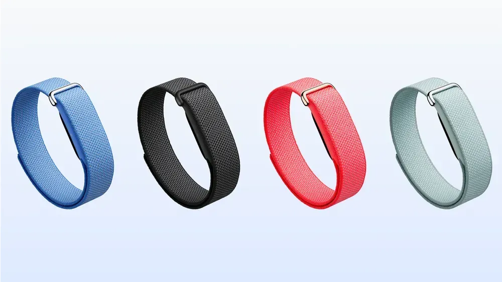Modul sensor Google Fitbit Air yang dapat dilepas pasang ke berbagai tali jam