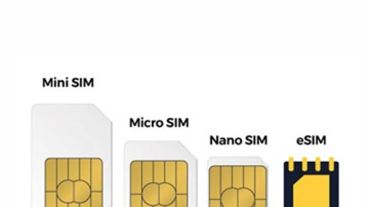 Cara Praktis Cek HP Support eSIM dan Hal yang Perlu Diketahui 1 Cara cek hp support esim di iPhone dan Android praktis