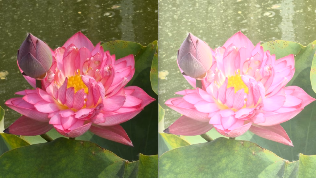Sony Xperia 1 VIII Disorot Gara-gara Contoh Foto AI yang Berlebihan