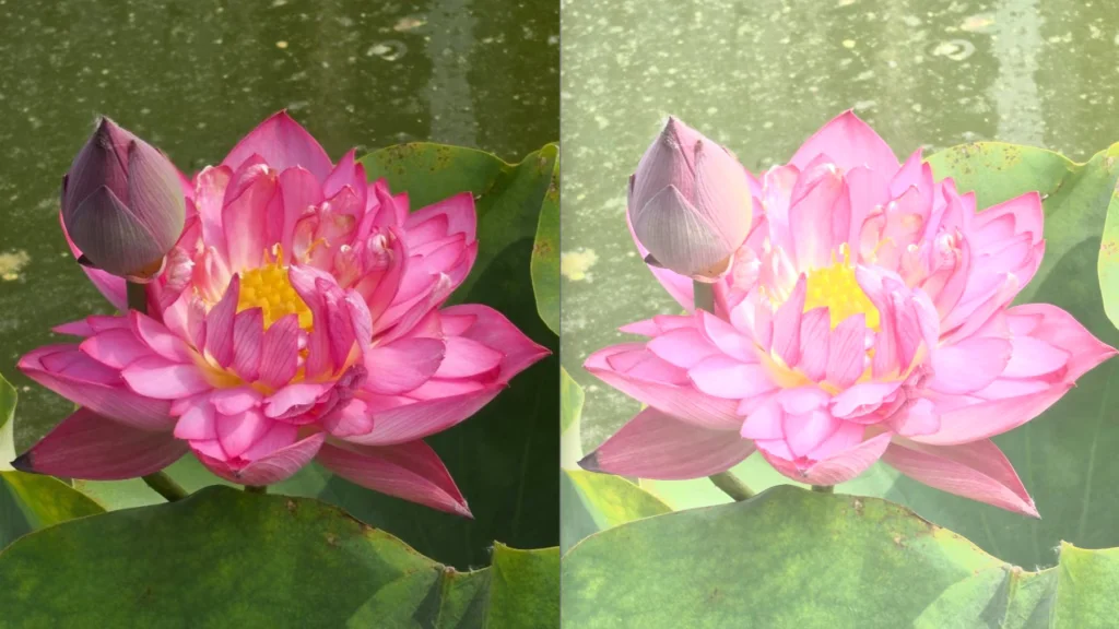 Sony Xperia 1 VIII dengan fitur AI Camera Assistant dan kamera ZEISS